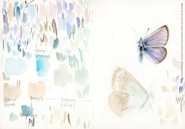 Boceto Antonia Montealegre